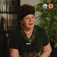 Brabant No GIF by Omrop Fryslân