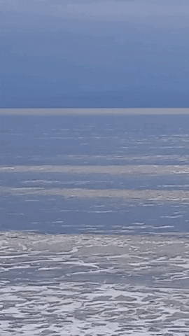 Simongip  GIF