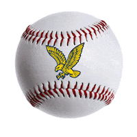 Go Hawks Ocaa Sticker by Humber Hawks