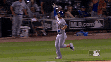 Ny Mets Reaction GIF by New York Mets