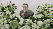Michael Fassbender Flowers GIF by Alex Bedder