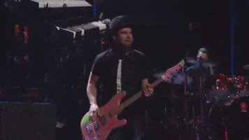 pearljam jeff ament GIF