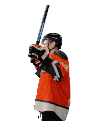 Hockey Hawk Sticker by Avangard