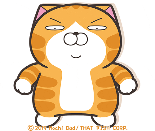Dance Cat GIF by MochiDad