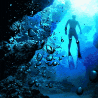 Marie Möör Announcement GIF by THEOTHERCOLORS