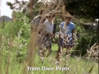 the mystery files of shelby woo nicksplat GIF