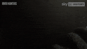 History Channel River Hunters GIF by Sky HISTORY UK