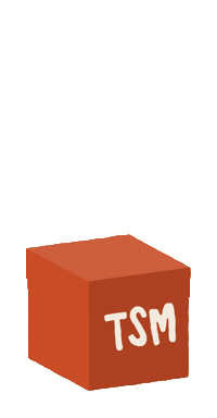 TravelSurfMorocco mystery tsm mysterybox travelsurfmorocco Sticker