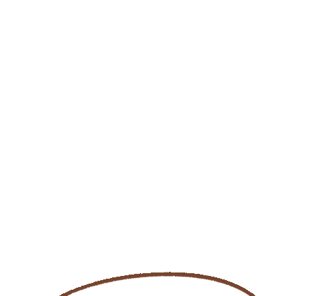 Rabbit Sorri Sticker