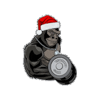 Christmas Sticker by World Gym
