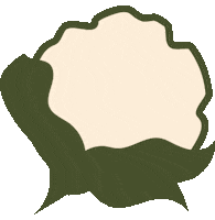 Cauliflower Bloemkool Sticker by Gruntenveggieoats