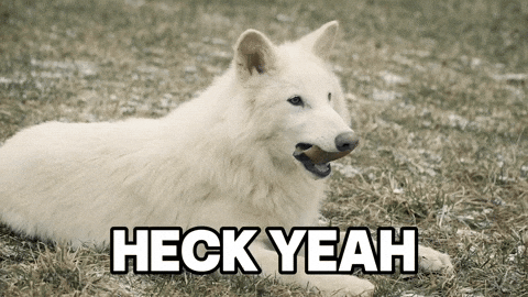 Wolf Smile GIF by Colossal