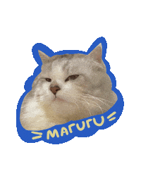 Cat Meow Sticker