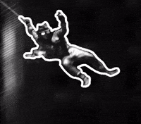 Swing Spider GIF