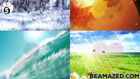 Momotaj giphygifmaker cards GIF