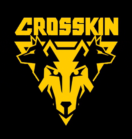 usecrosskin giphygifmaker usecrosskin crosskin GIF