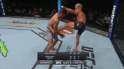 GIF by UFC