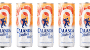 Beer Sommer Sticker by Calanda