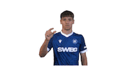 Soccer Bundesliga Sticker by Karlsruher SC