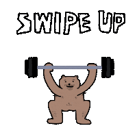 fartynrabbie swipe up gym bear bunny Sticker