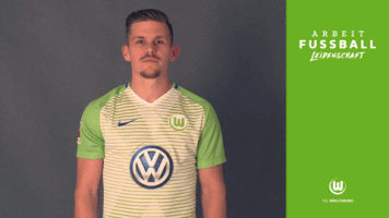 sebastian jung bundesliga GIF by VfL Wolfsburg