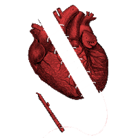 Manemane Proyecta Sticker by ESDA