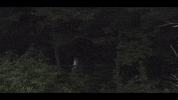 lonely trees GIF by nettwerkmusic