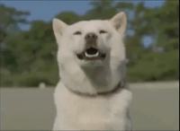 happy japan GIF