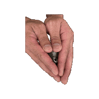 Potato Parrot Sticker