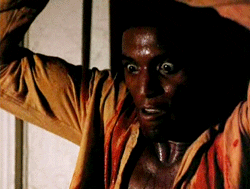 i drink your blood horror GIF by Shudder