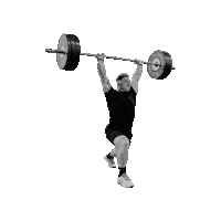 Stefi Cohen Sticker by HYBRID Performance Method