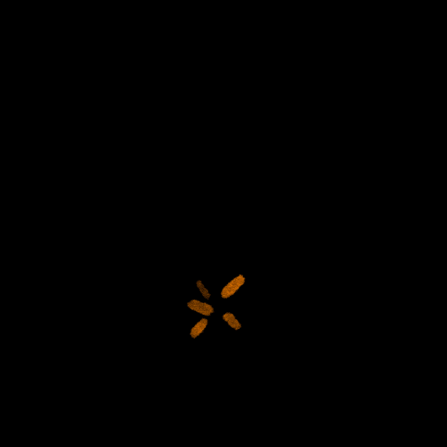 fire birthday GIF by Pierre-Julien Fieux
