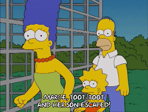 homer simpson GIF
