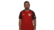 Stuttgart Sticker by Bundesliga