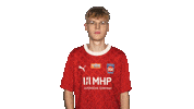 Vbl Hdh Sticker by Bundesliga