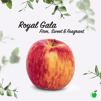 ColdStorage apple creative tips newzealand GIF