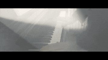 Sub Pop GIF by Sub Pop Records