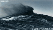 blue planet sea GIF by BBC Earth