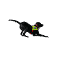 Rettungshund Sticker by Österreichische Rettungshundebrigade