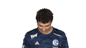 Look Up Schalke 04 Sticker by Bundesliga