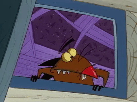 nickrewind giphydvr nicksplat angry beavers giphyab031 GIF