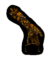 flowers spring Sticker by Meggan Joy