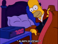 homer simpson GIF