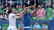 euro 2016 GIF by Sporza