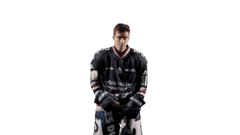 Nicolasritz Sticker by Les Ducs d'Angers