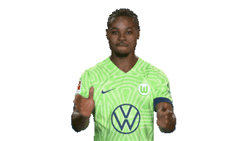 Football Applause Sticker by VfL Wolfsburg