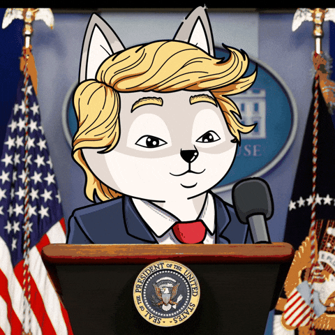 Trump Youre Wrong GIF by Raposa Coffee