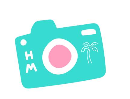 hotel_miami giphyupload camera flash shoot Sticker