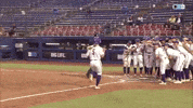 Home Run Softball GIF by Northwestern Athletics