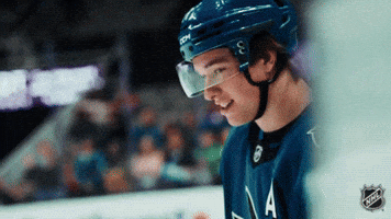 Happy National Hockey League GIF by NHL